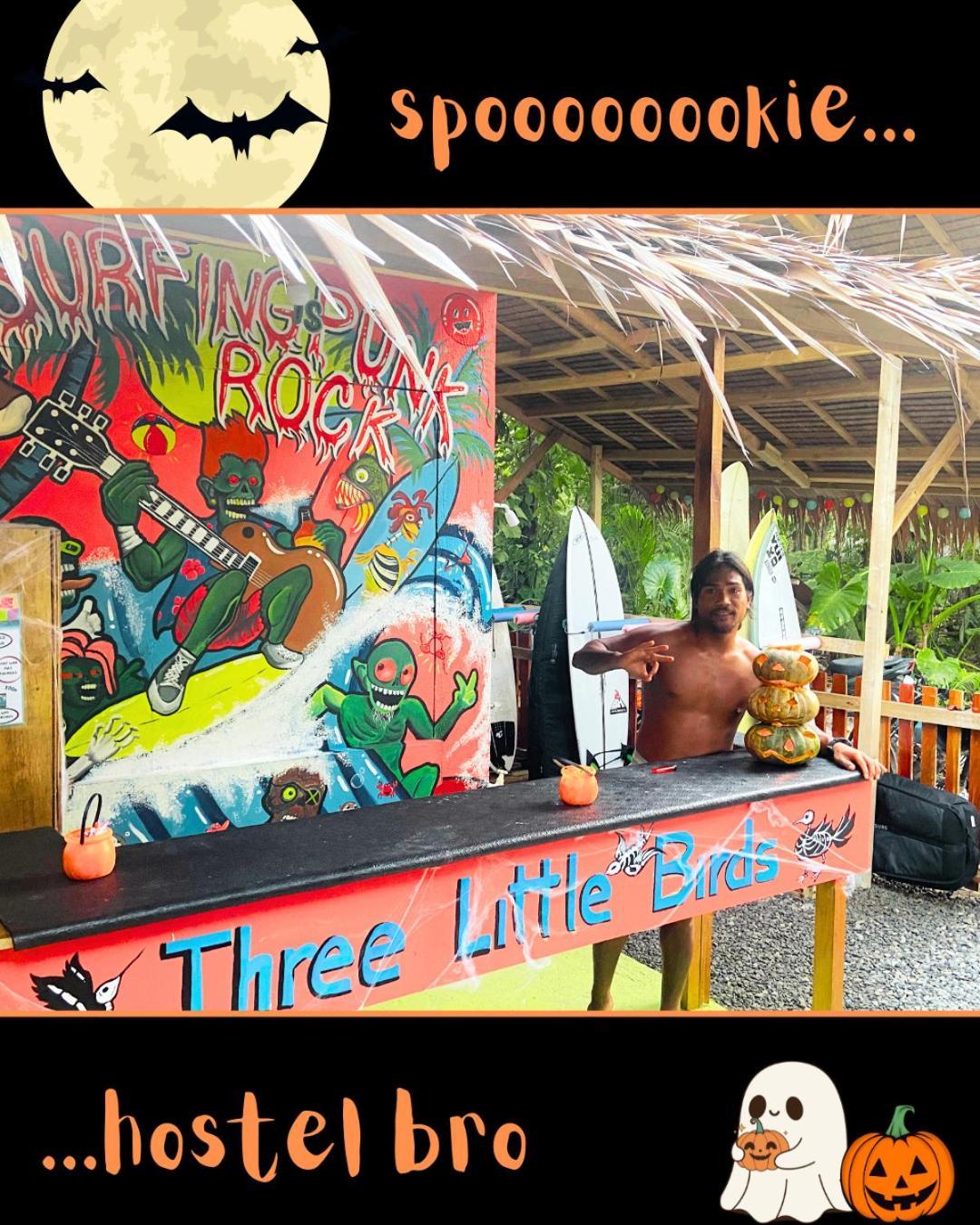 Three Little Birds Surf Hostel 卢纳将军城 外观 照片